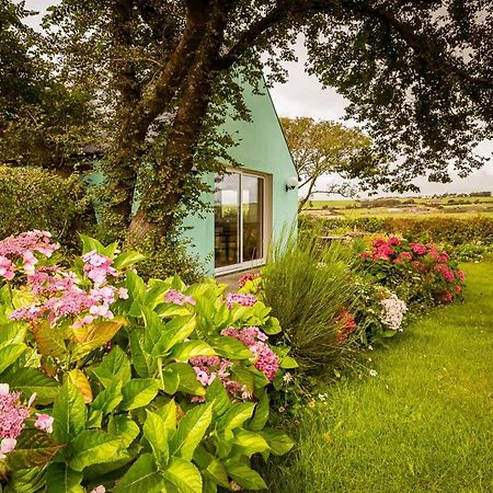 Апартаменти The Wild Atlantic Hideaway Клонакілті Екстер'єр фото