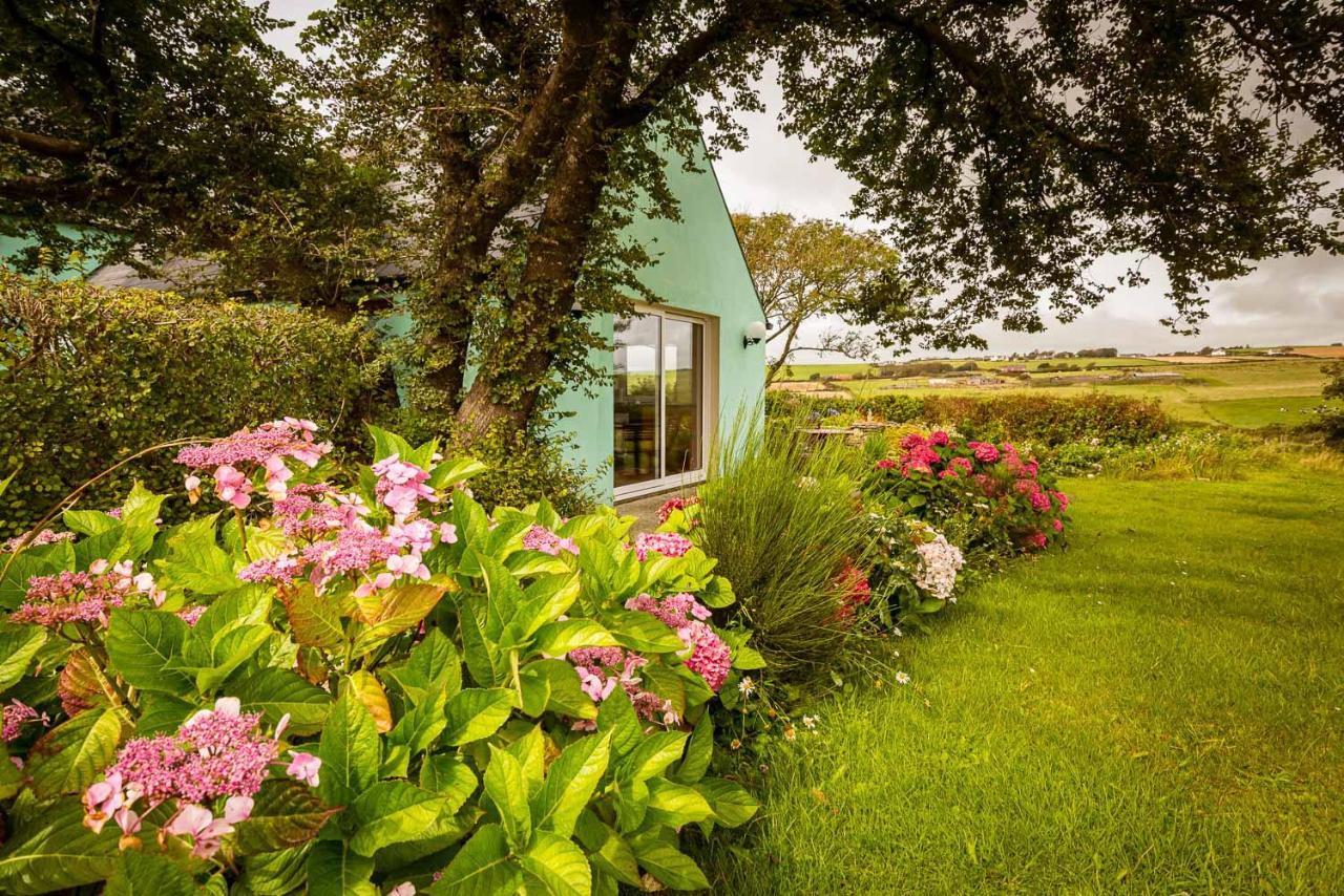 Апартаменти The Wild Atlantic Hideaway Клонакілті Екстер'єр фото