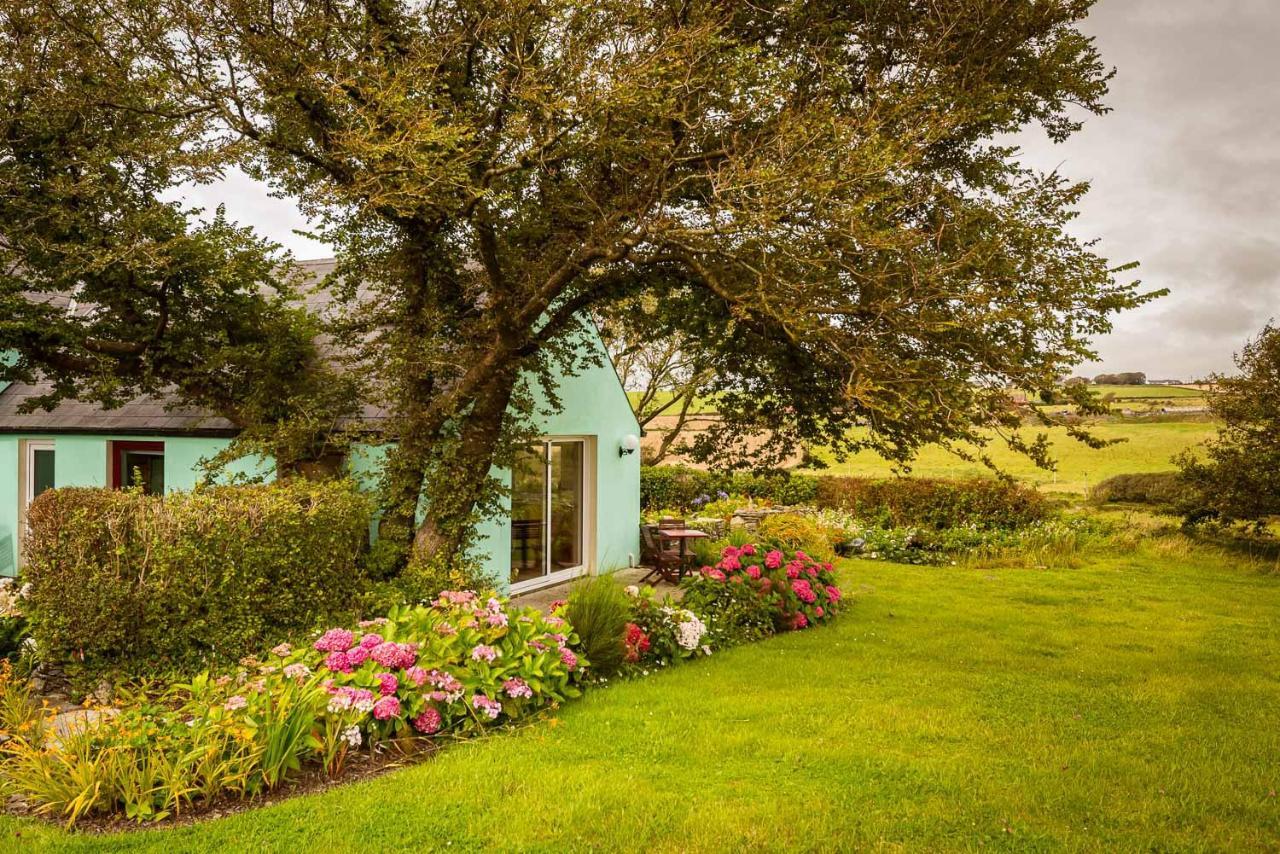 Апартаменти The Wild Atlantic Hideaway Клонакілті Екстер'єр фото