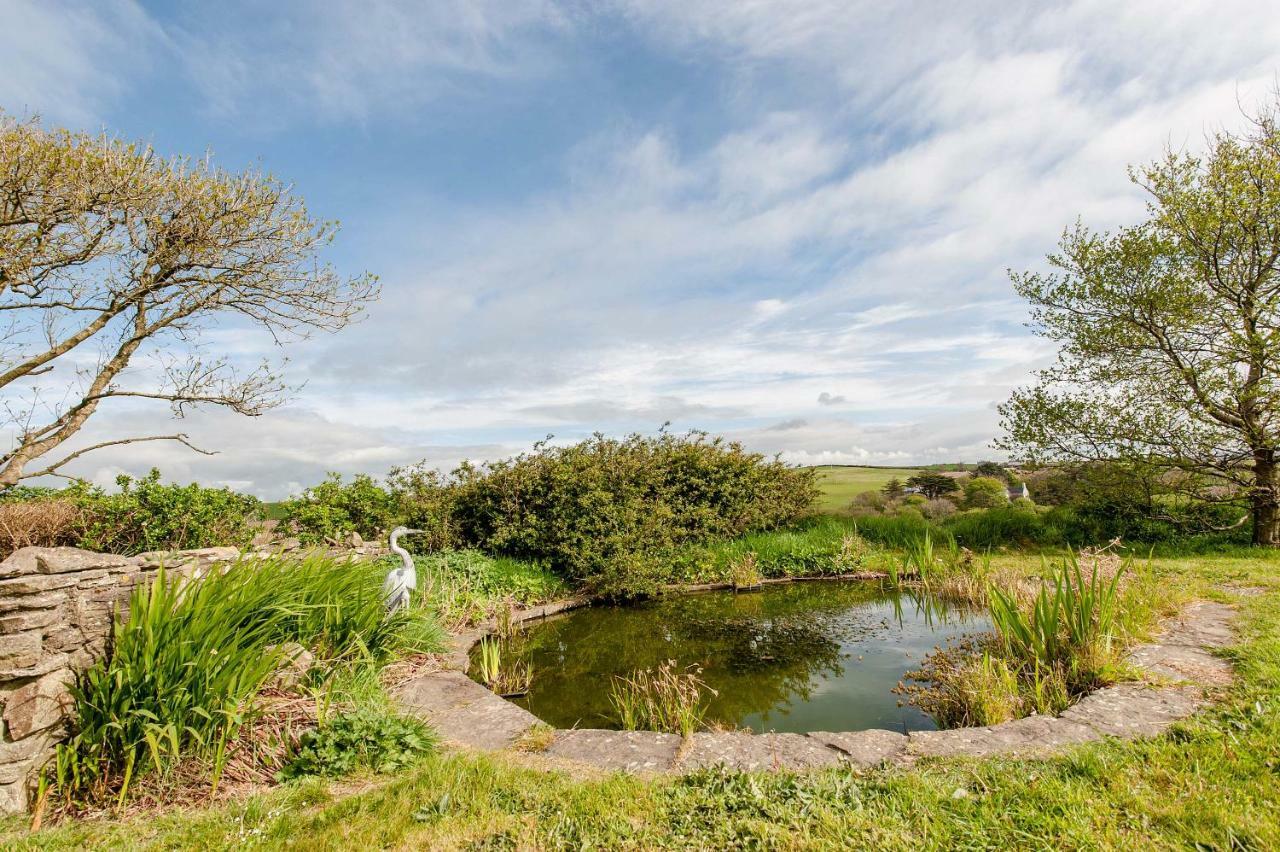Апартаменти The Wild Atlantic Hideaway Клонакілті Екстер'єр фото